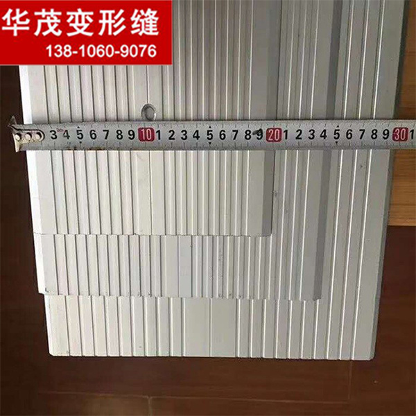 地坪變形縫廠家直銷(xiāo)不銹鋼地面承重變形縫FDM(8mm)