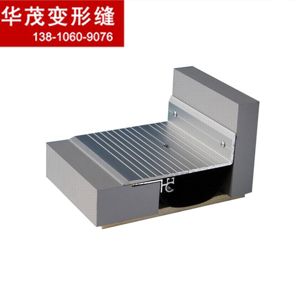 成品不銹鋼伸縮縫廠家批發(fā)定制成品樓地面伸縮縫