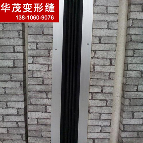 浙江變形縫 外墻橡膠嵌平型變形縫SER2型不銹鋼變形縫